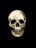 Example badge from the skulls collection