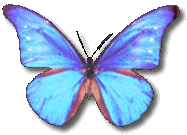 Example badge from the butterflies collection