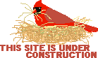 Example badge from the under-construction collection