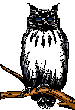 Example badge from the owls collection
