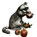 Example badge from the raccoons collection
