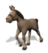 Example badge from the horses collection