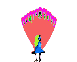 Example badge from the peacocks collection