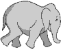 Example badge from the elephants collection
