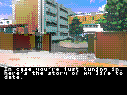 Dating Sim